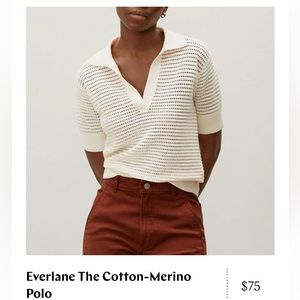 Everlane the Cotton Merino polo